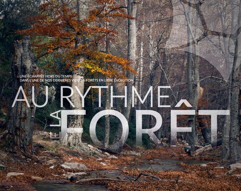 expo Massane CDI.jpg